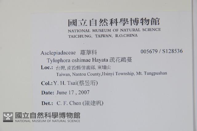 疏花鷗蔓藏品圖，第2張