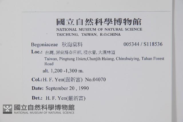 登錄號:S118536藏品圖，第2張