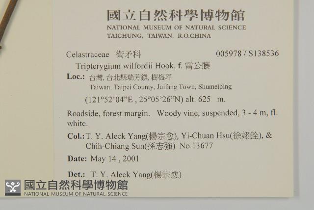 雷公藤藏品圖，第5張