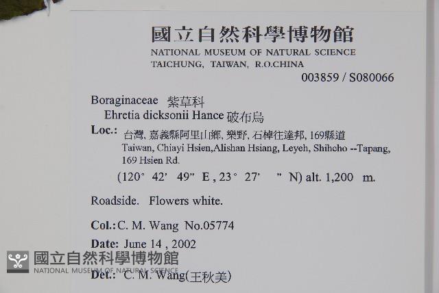 破布烏藏品圖，第2張