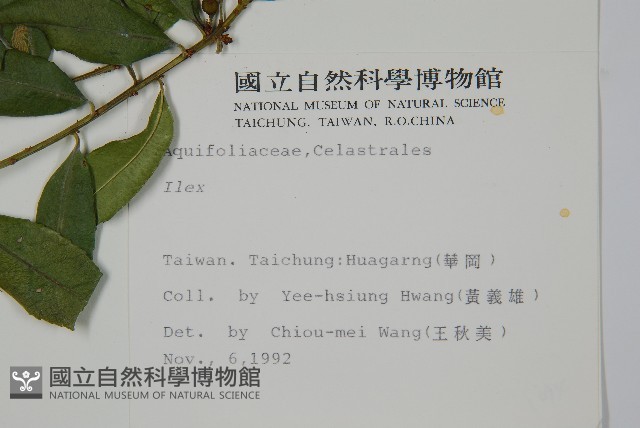 登錄號:S009066藏品圖，第2張