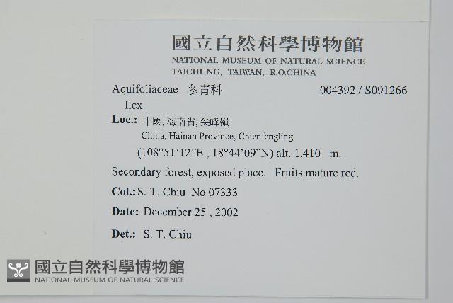 登錄號:S091266藏品圖，第2張