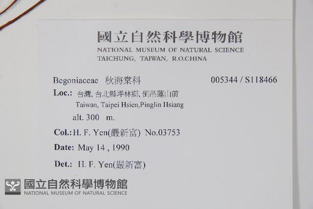 登錄號:S118466藏品圖，第2張