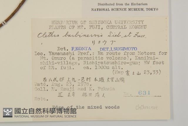 華東山柳藏品圖，第2張