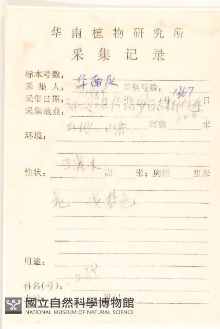 雞兒腸藏品圖，第2張