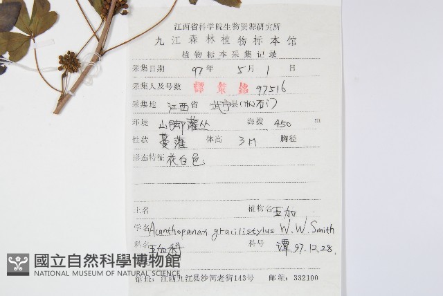 五加藏品圖，第2張