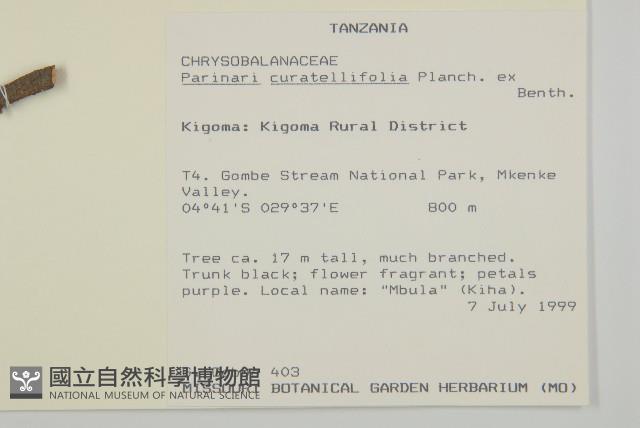 登錄號:S093966藏品圖，第2張