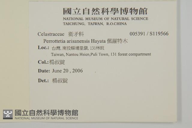 佩羅特木藏品圖，第2張