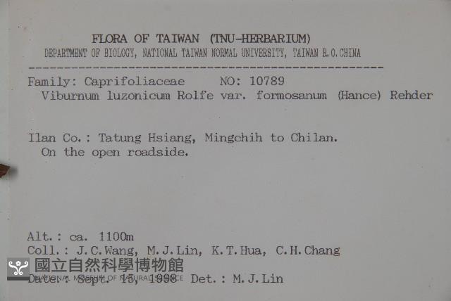 紅子莢迷藏品圖，第2張