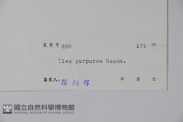 冬青藏品圖，第2張