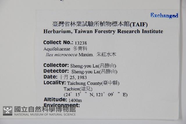 朱紅水木藏品圖，第2張