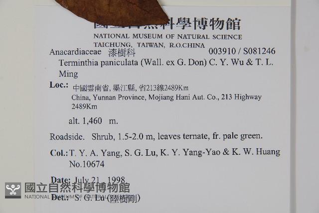 登錄號:S081246藏品圖，第2張