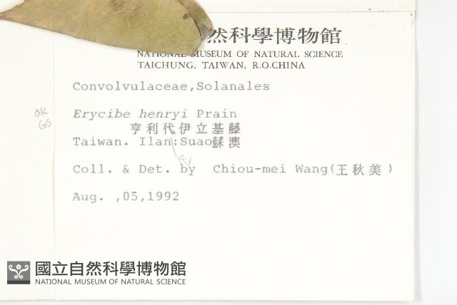 亨利氏伊立基藤藏品圖，第2張