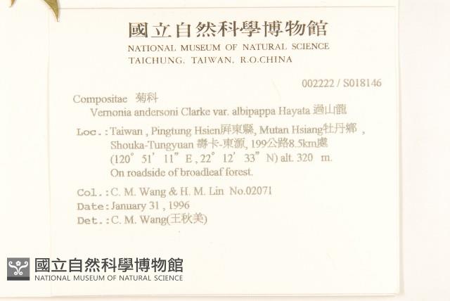 過山龍藏品圖，第2張