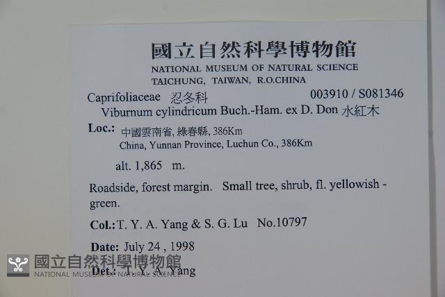 水紅木藏品圖，第2張