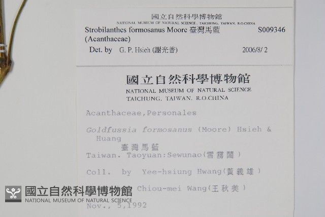 臺灣馬藍藏品圖，第2張