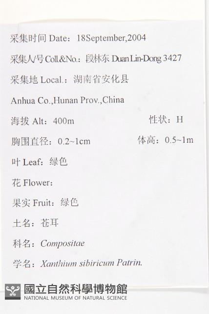 蒼耳藏品圖，第2張