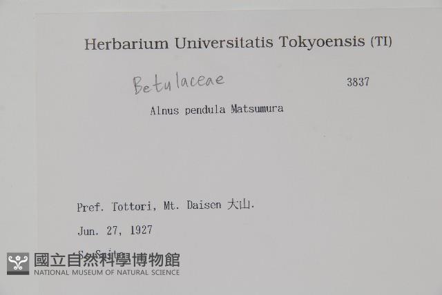 登錄號:S081946藏品圖，第2張