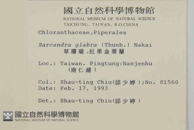 臺灣及己藏品圖，第2張