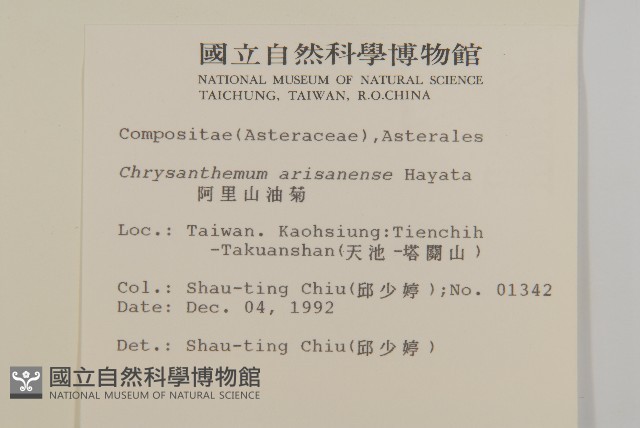 阿里山油菊藏品圖，第2張