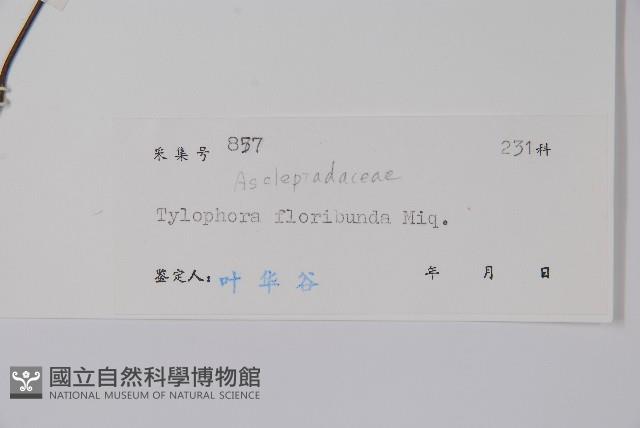 七層樓藏品圖，第2張