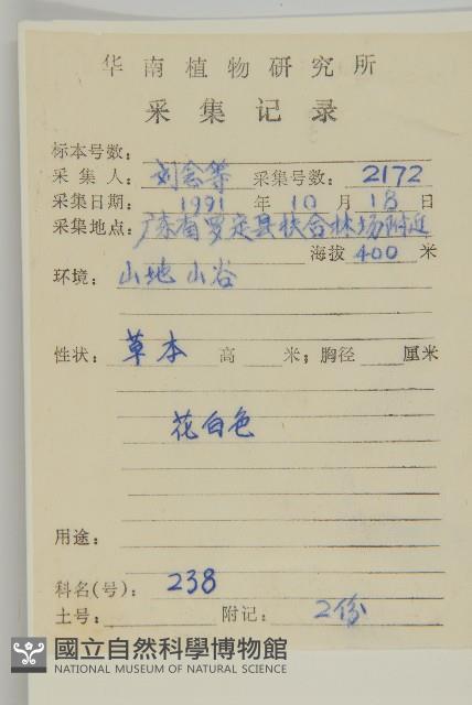 山白蘭藏品圖，第2張