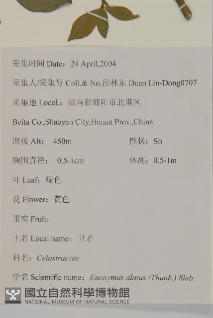 衛矛藏品圖，第2張