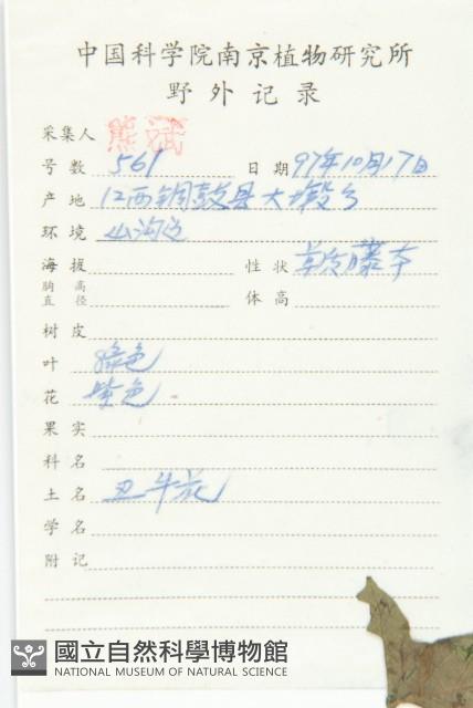 Accession Number:S059476 Collection Image, Figure 2, Total 3 Figures