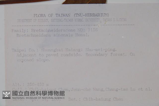 鐘萼木藏品圖，第2張