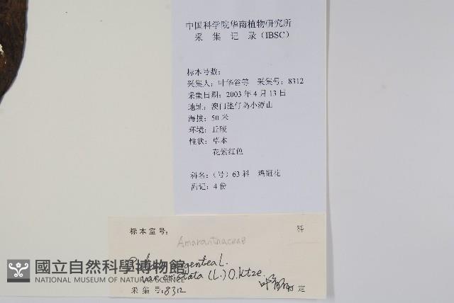 登錄號:S129176藏品圖，第2張