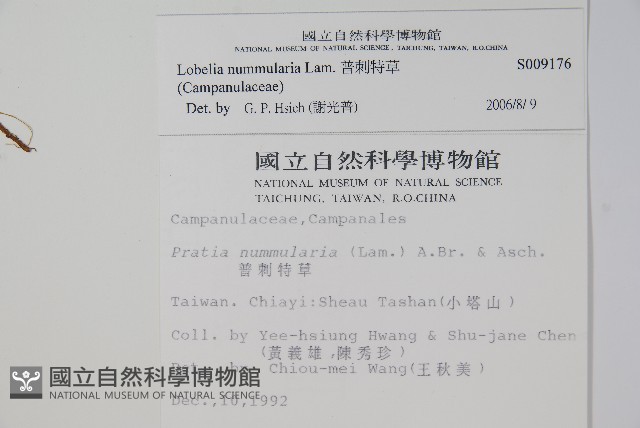 普刺特草藏品圖，第2張