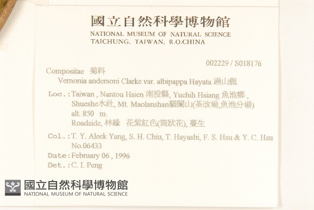 過山龍藏品圖，第2張