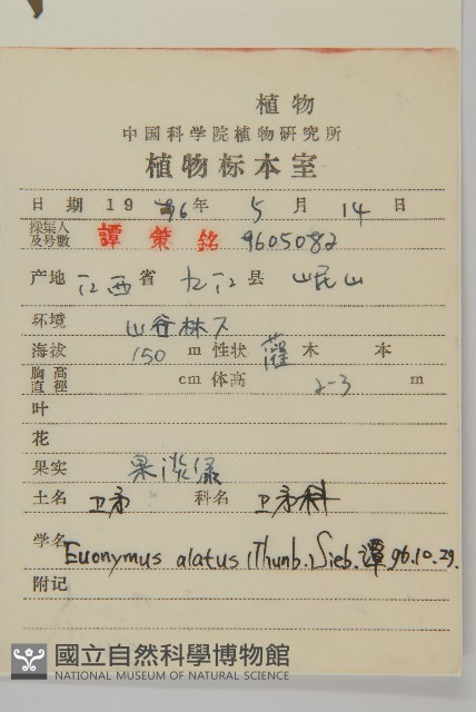 衛矛藏品圖，第2張