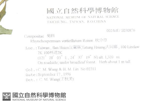 秋分草藏品圖，第2張