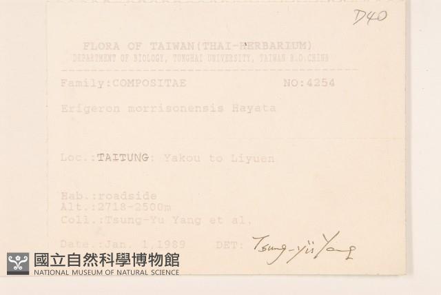 玉山飛蓬藏品圖，第2張