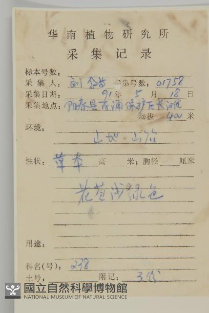 艾、五月艾藏品圖，第2張