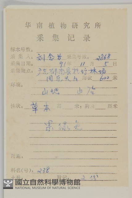 石胡荽、吐金草藏品圖，第2張