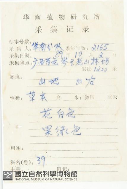 碎米薺藏品圖，第2張