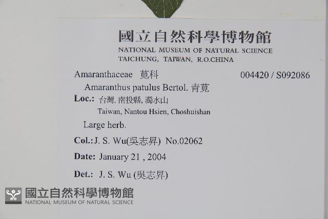 青莧藏品圖，第2張