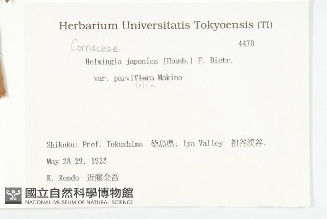 登錄號:S082086藏品圖，第2張