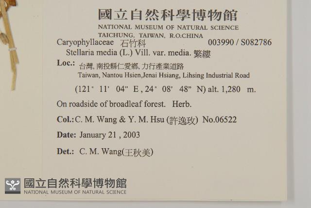 繁縷藏品圖，第2張