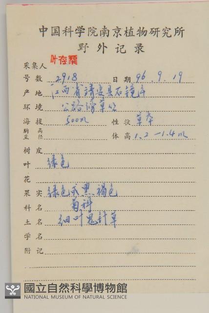 鬼針舅藏品圖，第2張