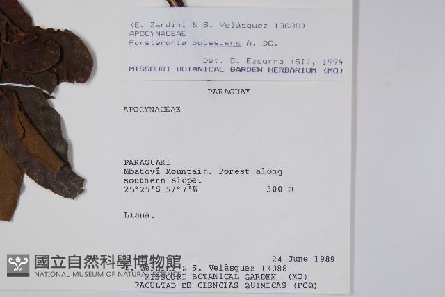 登錄號:S062286藏品圖，第2張