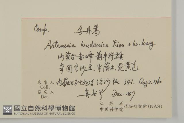 烏丹蒿藏品圖，第2張