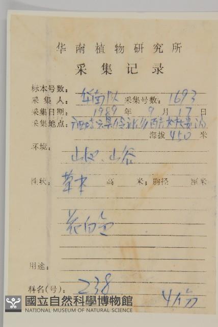 下田菊藏品圖，第2張