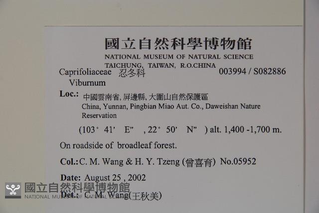 登錄號:S082886藏品圖，第2張