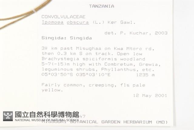 野牽牛藏品圖，第2張