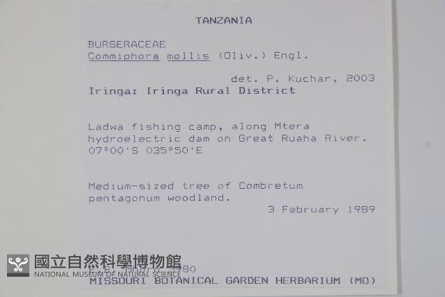 登錄號:S093886藏品圖，第2張