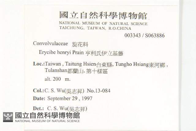 亨利氏伊立基藤藏品圖，第2張