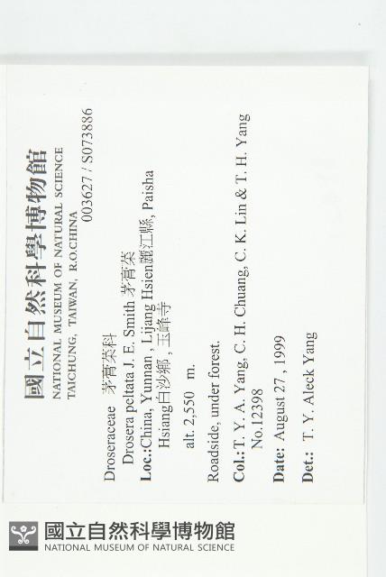 茅膏菜藏品圖，第2張